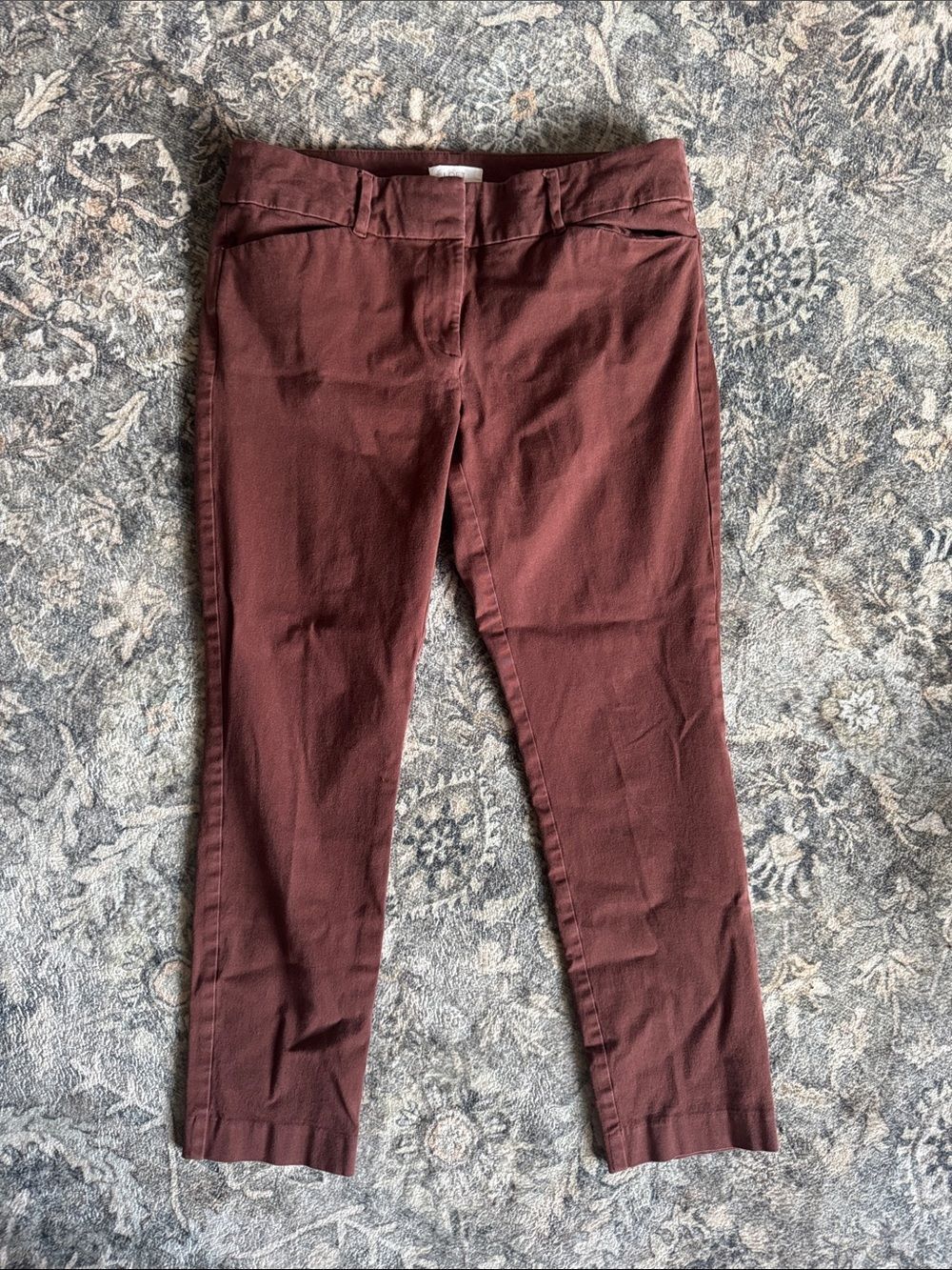 LOFT Outlet Rust-Colored Skinny Pants